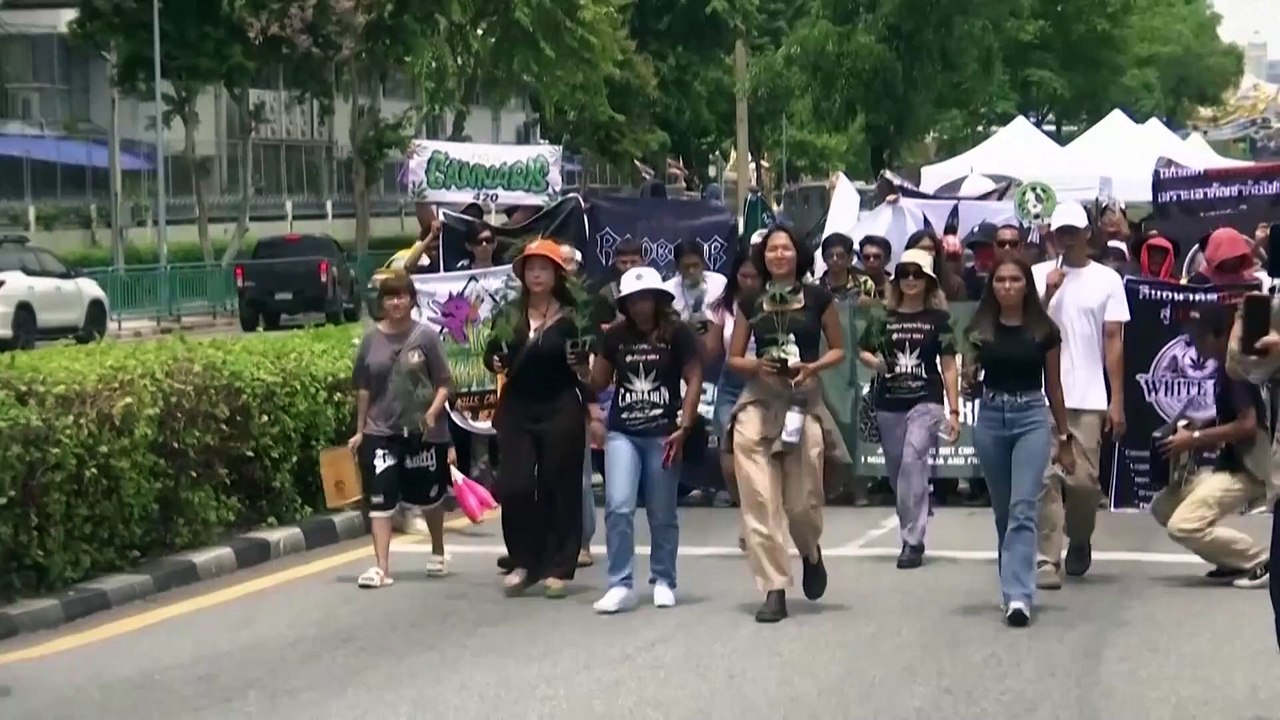 WATCH: Bangkok's green march, protesting the potential cannabis ban