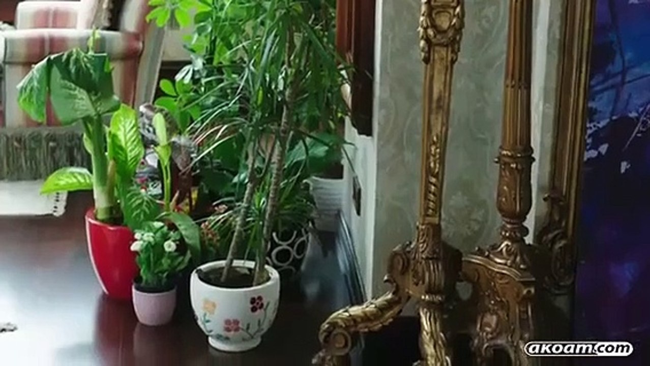 مسلسل بنات الشمس الحلقة 5 مدبلج