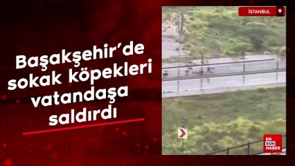İstanbul Başakşehir'de sokak köpekleri vatandaşa saldırdı