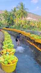 Funny Videos | satisfied videos