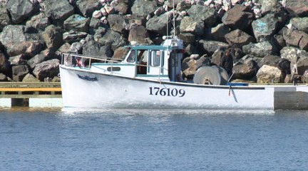Histoires de pêche : œuvres de Maude Carbonneau-Girouard