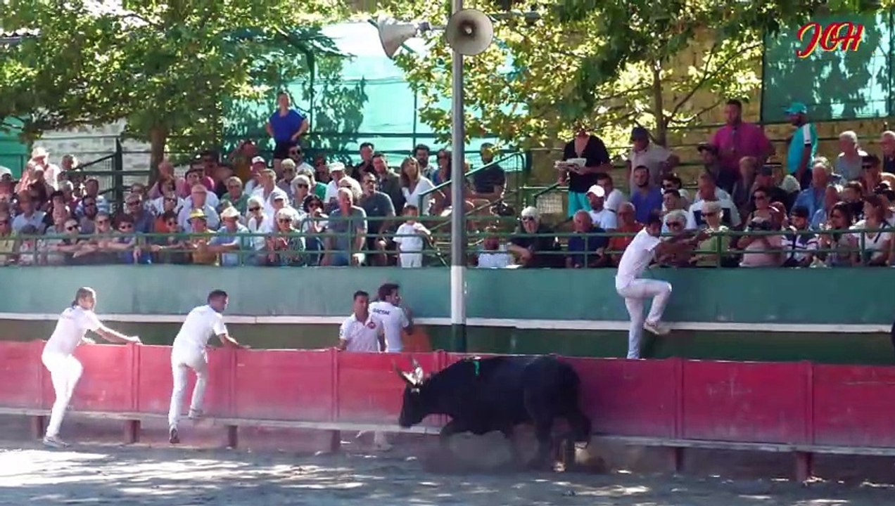 FINALE DU SARMENT D'OR AIGUES VIVES