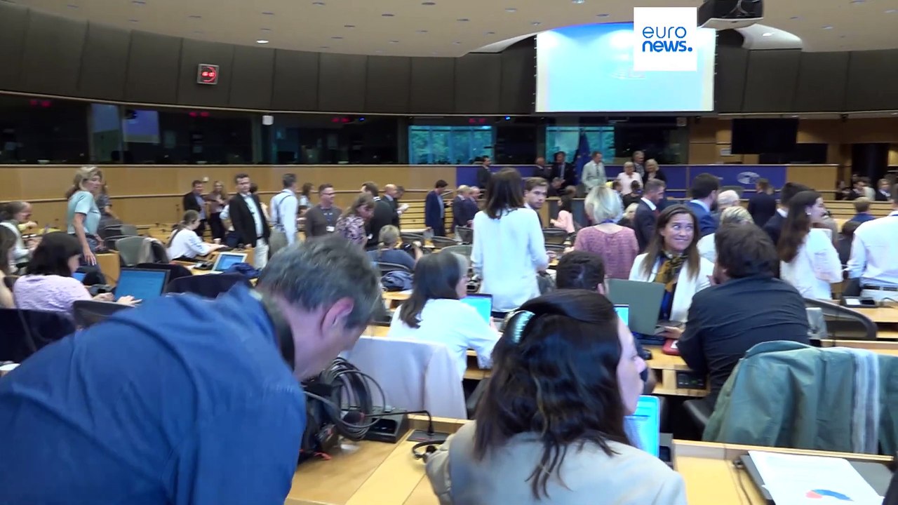 Die Fraktion 'Patrioten für Europa' wird drittstärkste Kraft im Europäischen Parlament