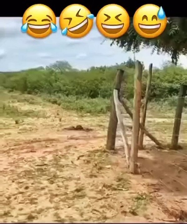 Cool Ride. 