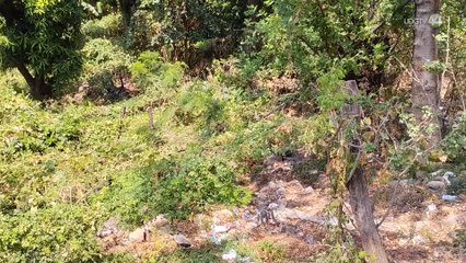 Crean huerto escolar orgánico para enseñar sobre métodos de siembra exentos de agroquímicos