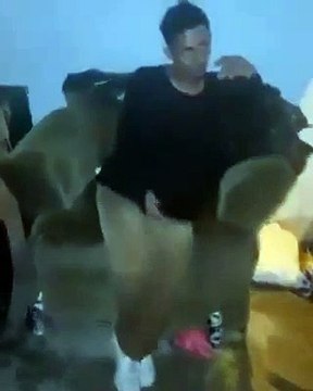 Ladrón de retrovisores