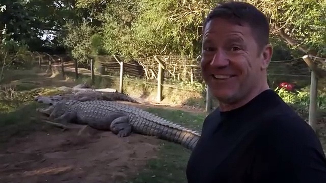 Meet Henry, the world s oldest crocodile  Killer Crocs with Steve Backshall