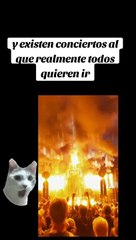 todos queremos ir a un concierto asi (bad bunny)@