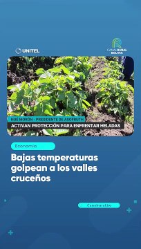 Bajas temperaturas golpean a los valles cruceños