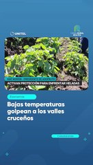 Bajas temperaturas golpean a los valles cruceños