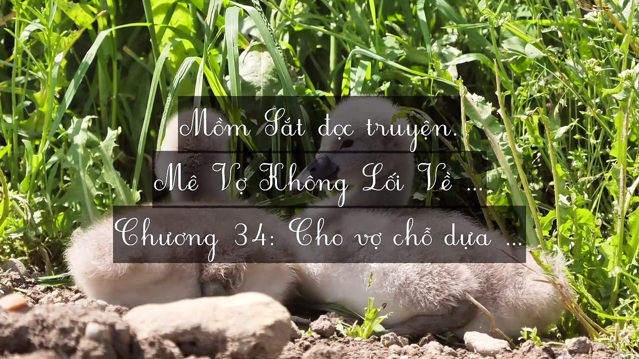 Chương 31-40: Mê Vợ Không Lối Về