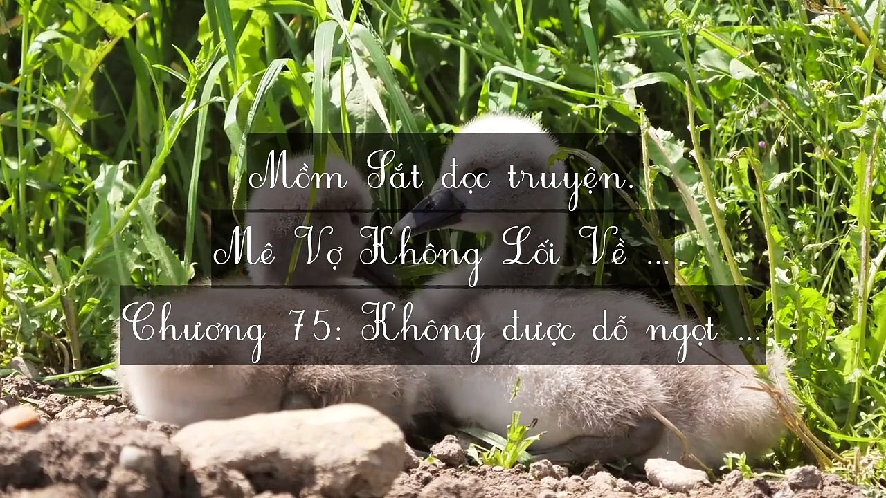 Chương 71-80: Mê Vợ Không Lối Về