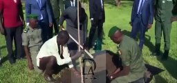 ðð¨ Le prÃ©sident Diomaye Faye plante un arbre en symbole dâespoirð«ð¸ð³