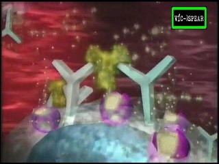 La Naturaleza de las Cosas: Alergias mas que simples estornudos - Documental (1999)