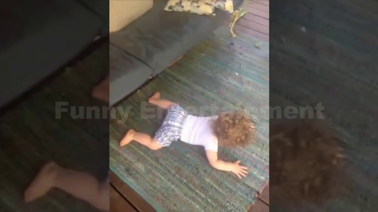 Funny Entertainment