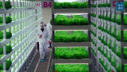 Mar de la Tranquilidad Capítulo 1 - ¡Descubre el Inicio de esta Emocionante Serie en Español Latino! 🌊