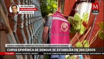 Estabilizan curva epidémica de dengue en Oaxaca tras esfuerzos del Gobierno de la entidad