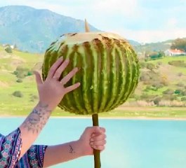Transform wild cactus into juicy culinary masterpiece!