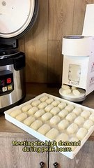 The sushi rice ball machine