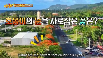 (ENG) Knowing Brother (2024) Ep 441 EngSub