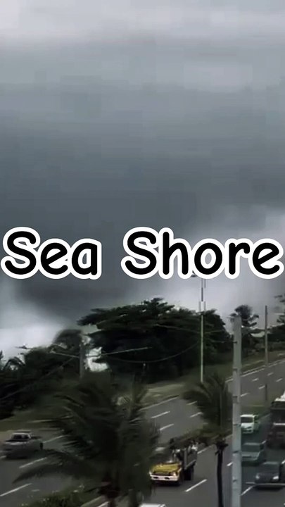 Sea Shore