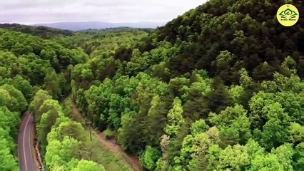 Budha Mujahid بوڑھا مجاہد aur jungle ke sheir ka Waqia | Urdu Islami Waqiat