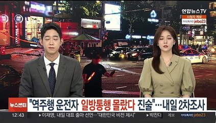 "시청역 역주행 운전자 일방통행 몰랐다 진술"…내일 2차 조사