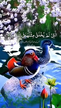سورۃالفجر_ surah fajr_ tilawah surah fajr_ The Holy Quran Recitation_ Islamic video _ #viral #foryou #foryoupage #foryoupage❤️❤️ #islamicvideos #surahfajr #tilawatequranpak111