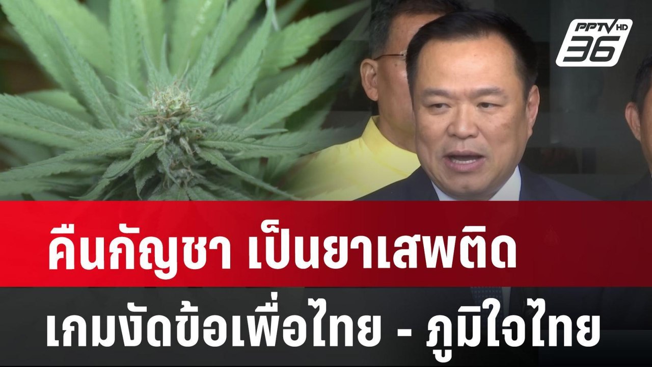คืนกัญชา เป็นยาเสพติด เกมงัดข้อ เพื่อไทย - ภูมิใจไทย ? | เที่ยงทันข่าว | 9 ก.ค. 67