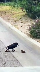 Cross line catching mice! #viral #trendig #funny