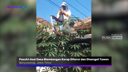 Pasutri Asal Desa Blambangan Banyuwangi Kerap Diteror dan Disengat Tawon, Ini yang Dilakukan Dinas Pemadam Kebakaran dan Penyelamatan