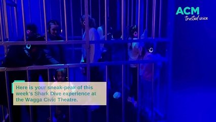 Shark Dive hits the Civic Theatre stage this school holidays