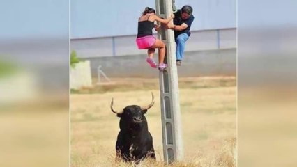 Funniest Fails Of The Year Compilation