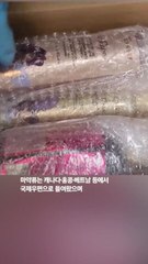 국제택배로 받은 샴푸, 액상 대마였다…60억원대 마약 조직 적발 [영상]
