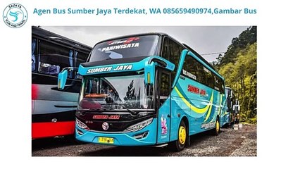 Agen Bus  Sumber Jaya Terdekat, WA 085659490974,Gambar Bus