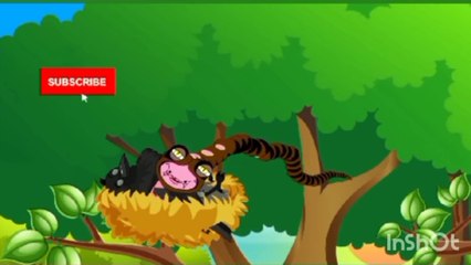 کوے کو ملی سزا کسی کی بات نہ ماننے کی