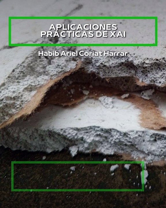 |Habib Ariel Coriat Harrar| El futuro de la inteligencia artificial transparente (PARTE 2) (@HABIBARIELC)