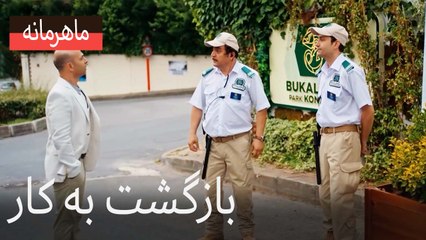 بازگشت به کار