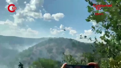 Ankara'da örtü yangınında 10 hektar alan zarar gördü