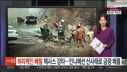 허리케인 '베릴', 미국 텍사스 강타…인니에선 산사태로 금광 매몰