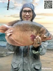 Sejarah tentang Ikan Gurame
