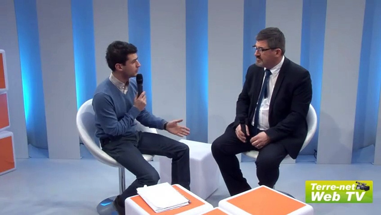 Les chenilles gonflées à bloc