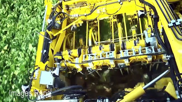 La 5ème génération de Ropa Tiger démarre sur les chapeaux de roues !