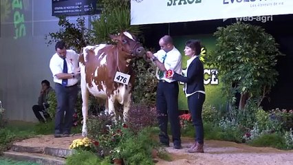 Hedwig du Gaec des Alizés (29) remporte le titre de grande championne