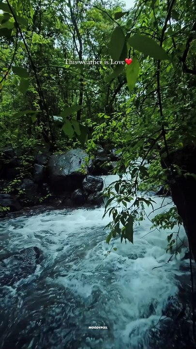 Nadaaniyan song
