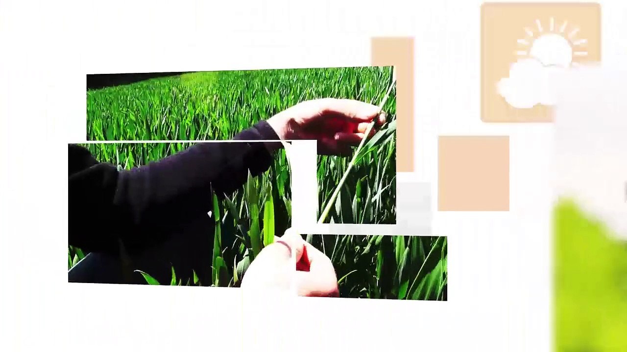 Quadra Ferti : l’épandage sans tonne à lisier