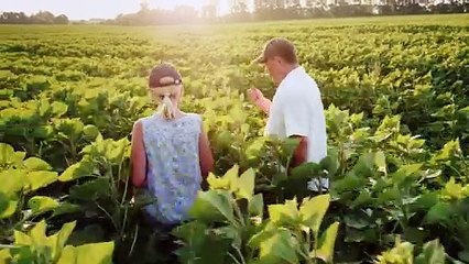 Terre-net recrute un journaliste numérique en agriculture