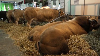 A. Charbonneau : « Coeur de campagne, le supermarché des produits de la ferme »