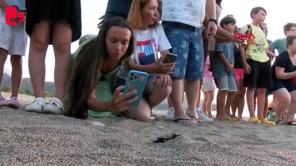 Çıralı'da 30 yılın deniz kaplumbağası yuva rekoru kırıldı