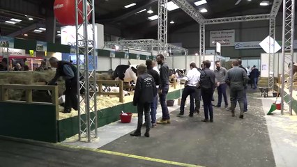 La Normande assure à tous les niveaux : économique, social et environnemental